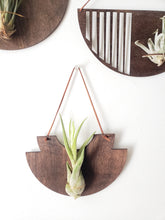 Load image into Gallery viewer, Mod Air Plant - Bulbosa